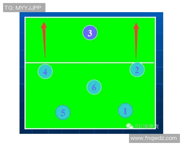 北京排球队总决赛精彩配合分析与战术解读