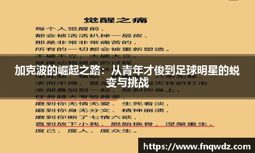 XK体育